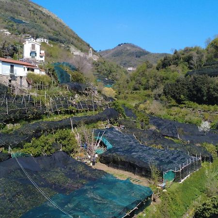 Antica Cartiera Sant'Elia Apartment Tramonti Ngoại thất bức ảnh