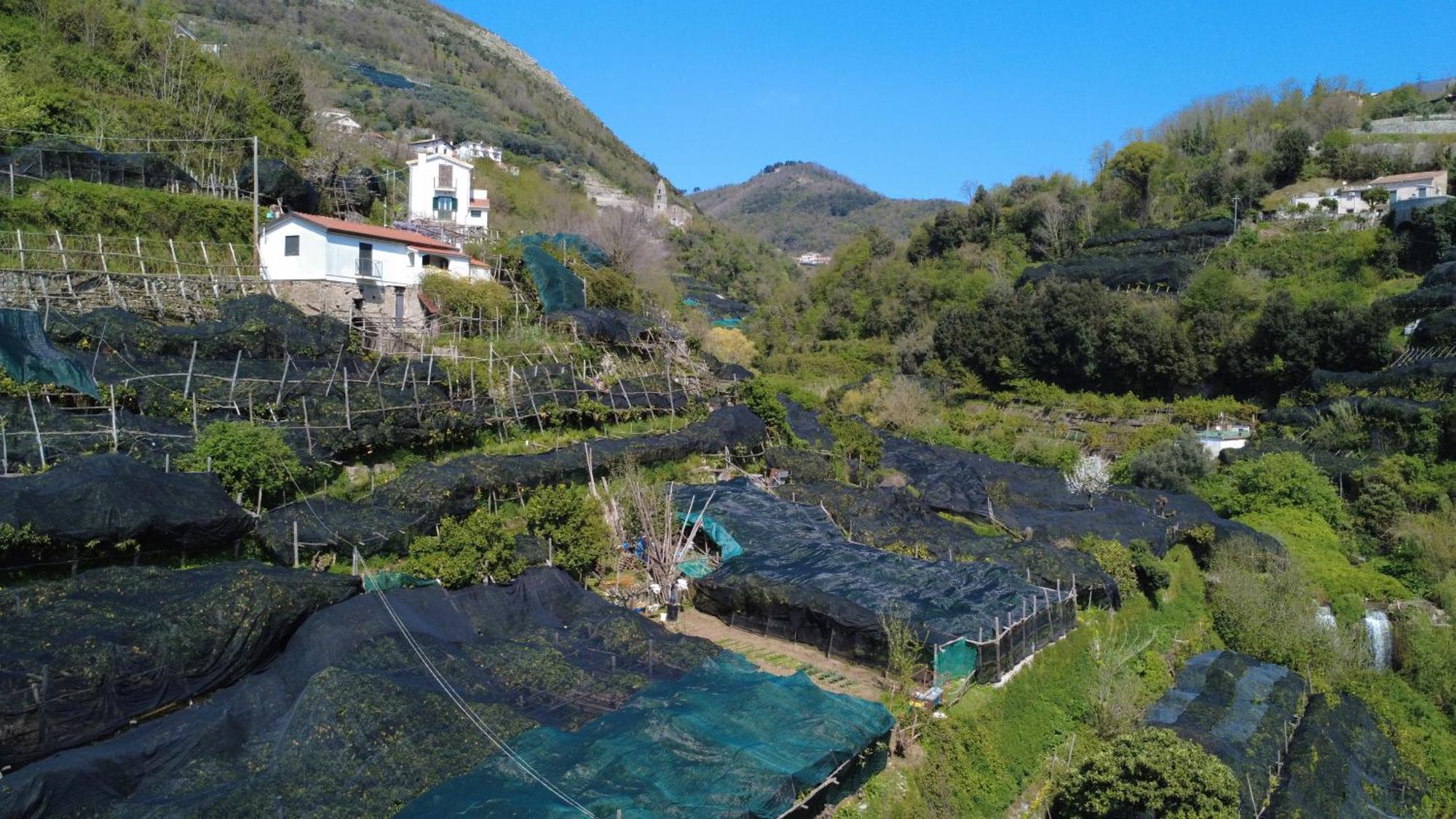 Antica Cartiera Sant'Elia Apartment Tramonti Ngoại thất bức ảnh